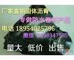 龍里10號建筑瀝青的批發(fā)價格