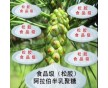 廠家直銷 阿拉伯半乳聚糖生產廠家